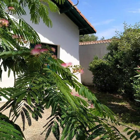 Bea Holiday home